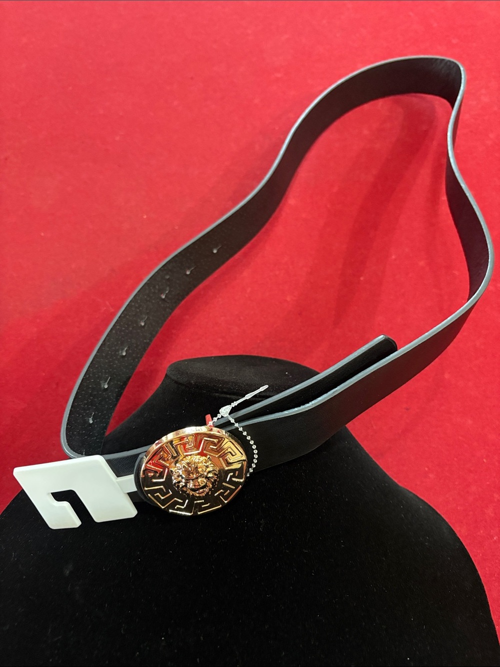 Black Women's  Belt with Gold Medallion Accent